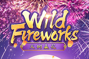 Wild Fireworks Wild Fireworks