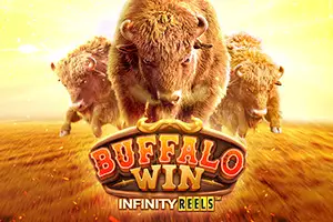 Buffalo Win