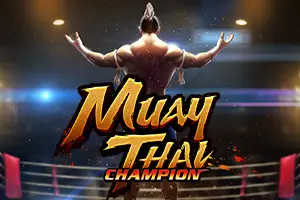 Muay Thai Champion