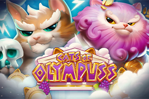 Cats of Olympuss