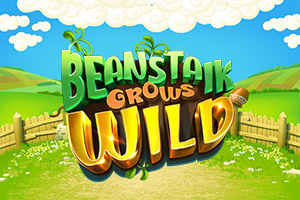 Beanstalk Grows Wild