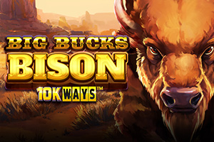 Big Bucks Bison 10K Ways
