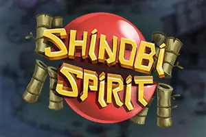 Shinobi Spirit