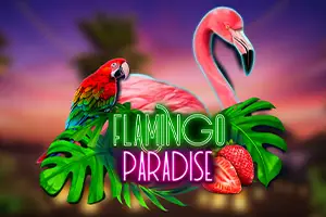 Flamingo paradise