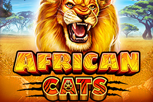 African Cats