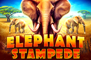 Elephant Stampede