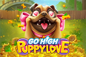 Go High Puppy Love