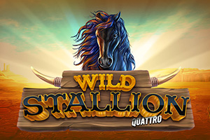 Wild Stallion