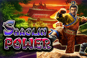 Shaolin Power