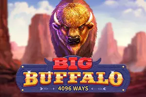 Big Buffalo