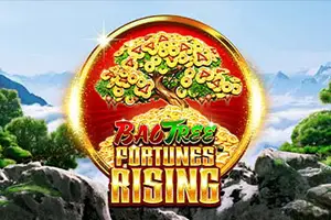 Fortunes Rising