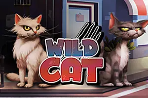 Wild Cat