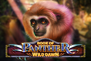 Book of Panther Wild Dawn