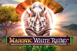 Majestic White Rhino