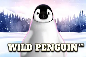 Wild Penguin