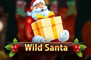 Santa's Wild Ride