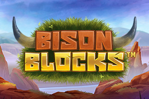 Bison Blocks