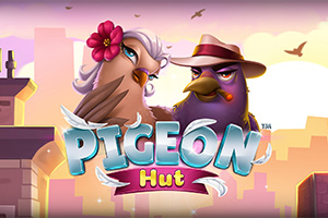 Pigeon Hut