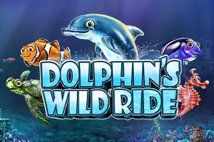 Dolphin's Wild Ride