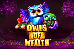 Owls Of Wealth