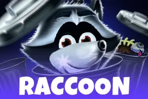 Raccoon