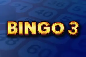 Bingo 3