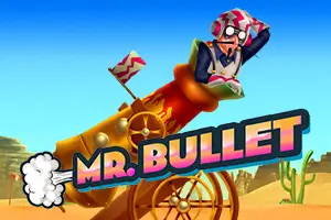 Mr Bullet