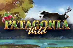 Patagonia Wilds