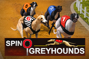 Spinosports Greyhounds