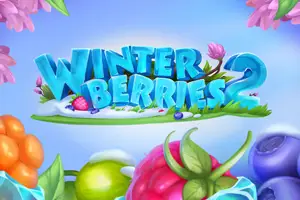 Winterberries 2