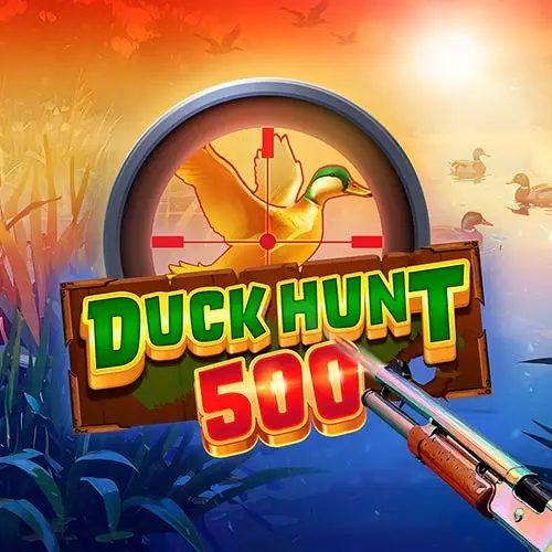 Duck Hunt 500