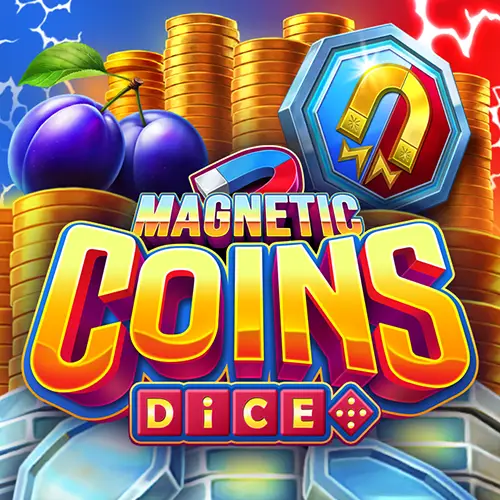 Magnetic Coins Dice