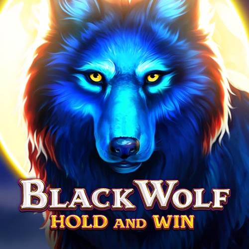 Black Wolf Hold and Win