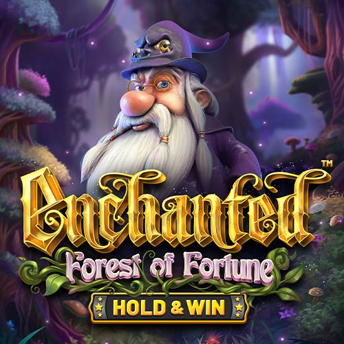 Enchanted Forest Of Fortune