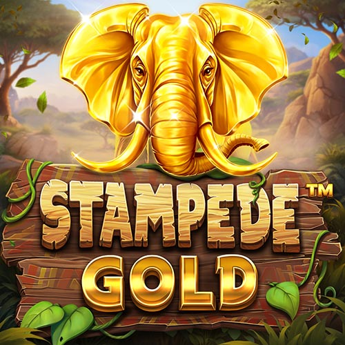 Stampede Gold