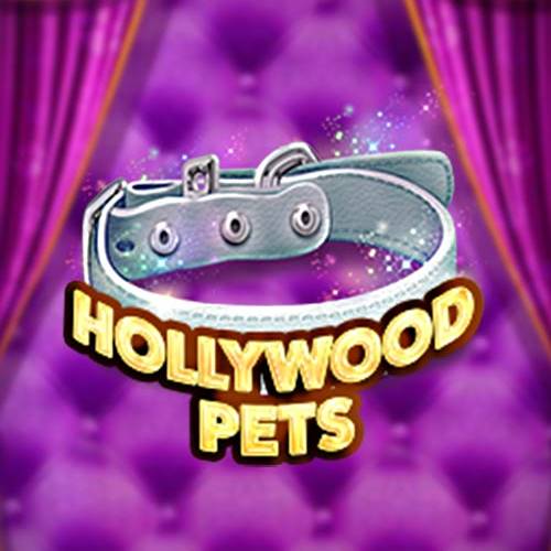 Hollywood Pets