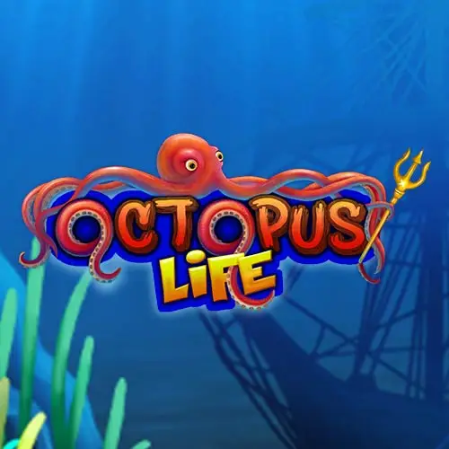 Octopus Life