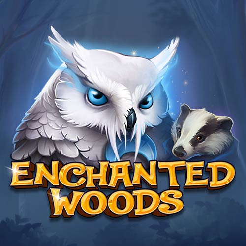Enchanted Woods