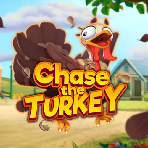 Chase The Turkey