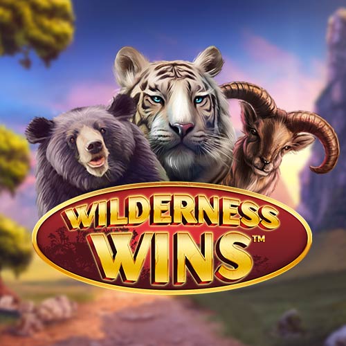 Wilderness Wins