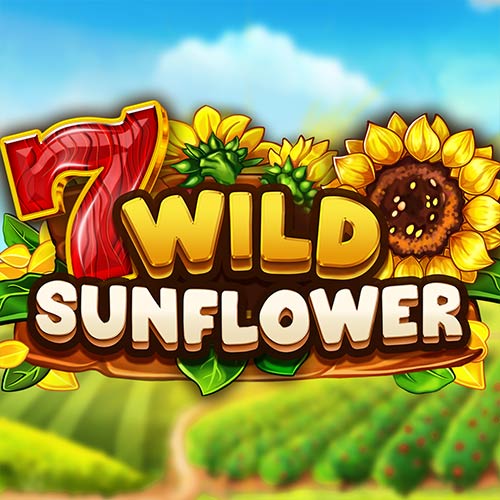 Wild SunFlower
