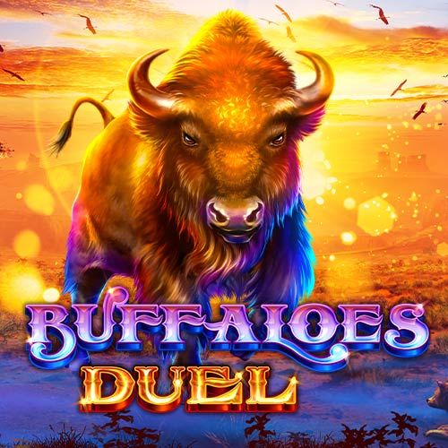 Buffaloes Duel