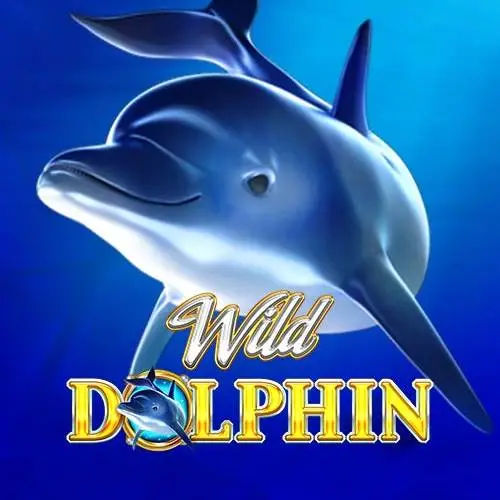 Wild Dolphin