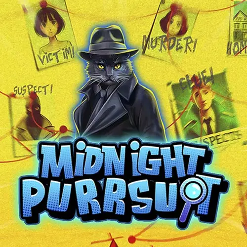 Midnight Purrsuit