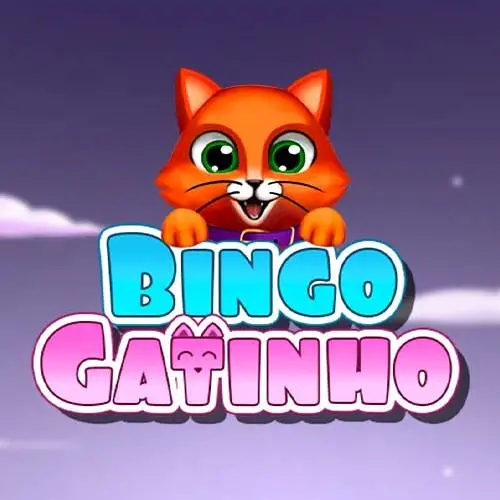 Bingo Gatinho