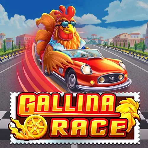 Gallina Race