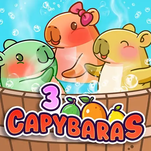 3 Capybaras