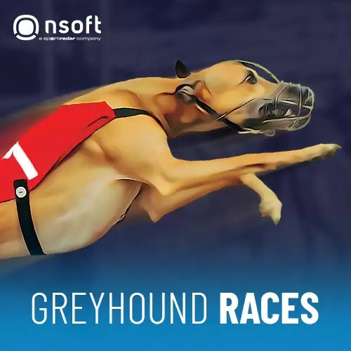 Greyhound Races