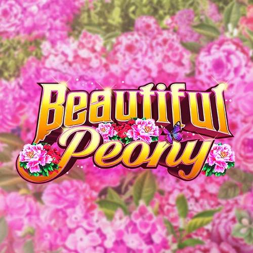 Beautiful Peony