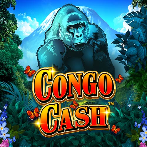 Congo Cash XL